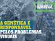 A genética é responsável pelos problemas visuais