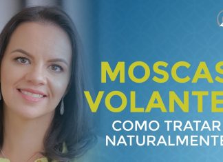 MOSCAS VOLANTES SÃO SIMPLES DE RESOLVER POR ESSE MOTIVO