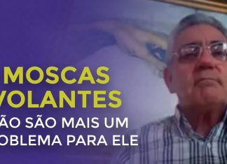 MOSCAS VOLANTES NÃO SÃO MAIS UM PROBLEMA PARA ELE